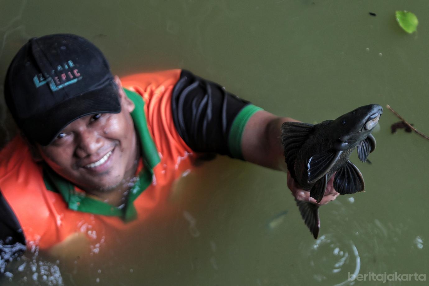 7.Berburu Ikan Sapu sapu di Kecamatan Matraman