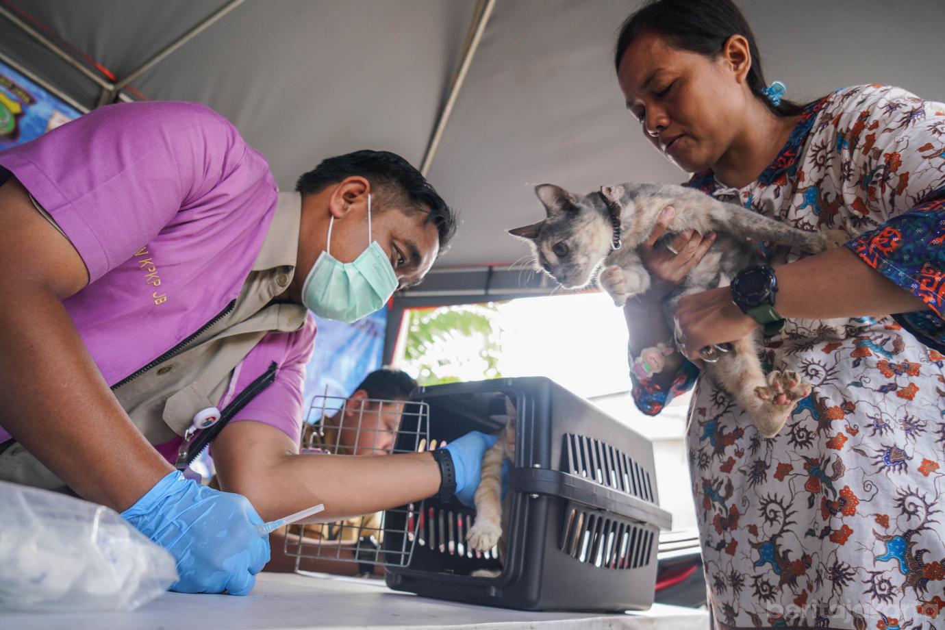 3 Sudin KPKP Gelar Vaksinasi Rabies Gratis di Kelurahan Jembatan Lima 3