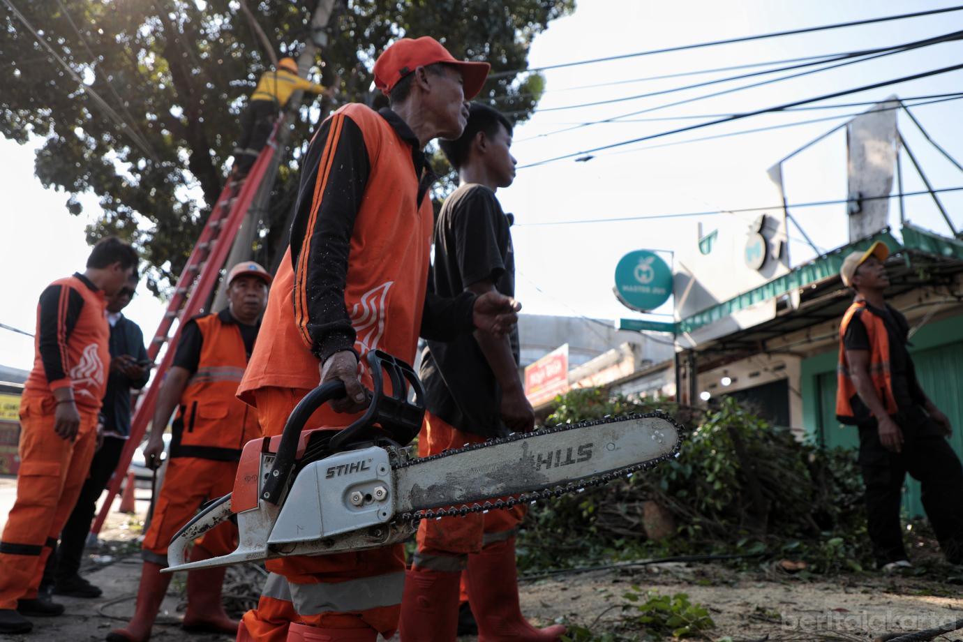 2.Penanganan Pohon Tumbang di Cipayung