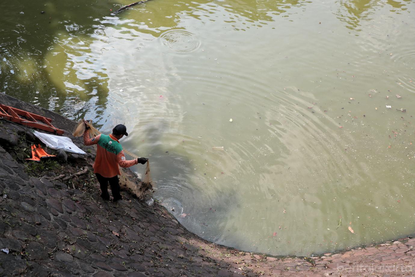 4.Berburu Ikan Sapu sapu di Kecamatan Matraman