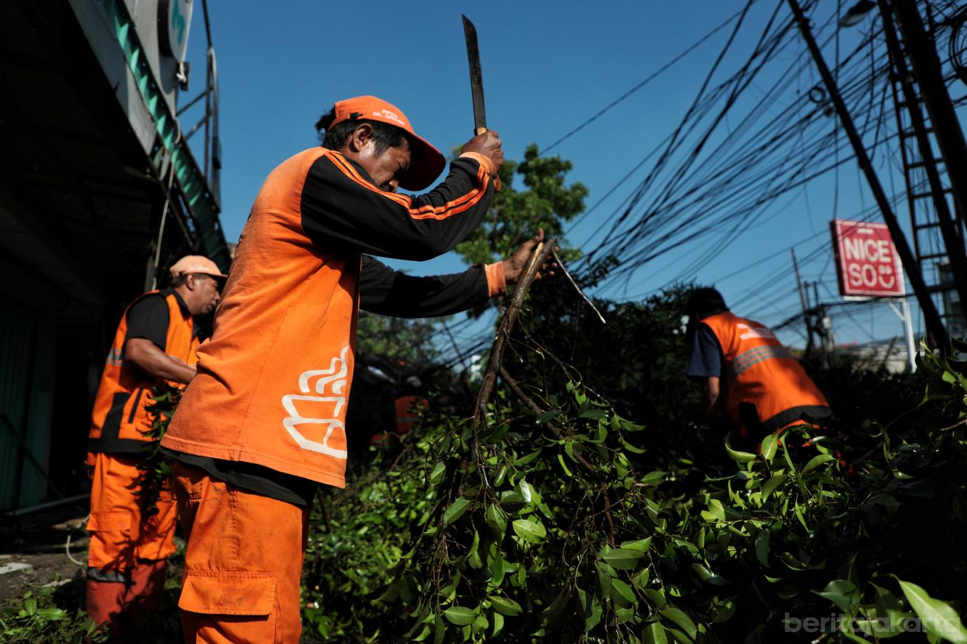 8.Penanganan Pohon Tumbang di Cipayung