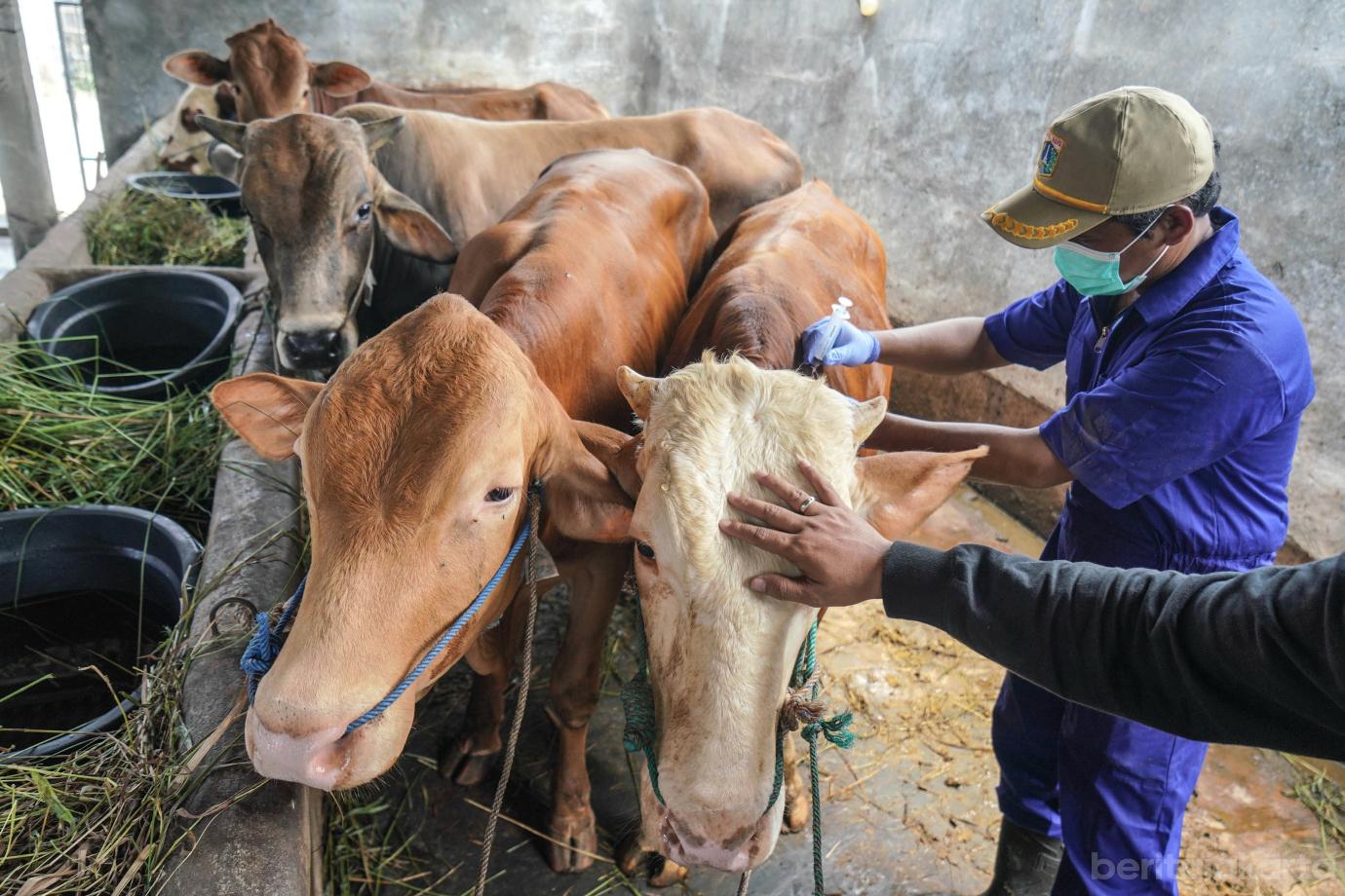 <?//= $potret[0]->photo_filename ?>