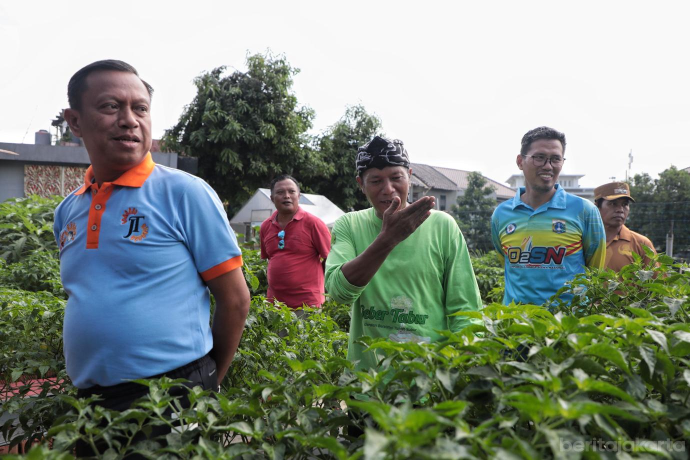 6.Wali Kota Jaktim Panen Melon di Poktan Geber Tabur