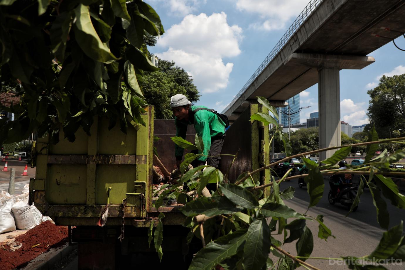3.Distamhut DKI Percantik Pedestrian Sisi Timur Jalan Rasuna Said