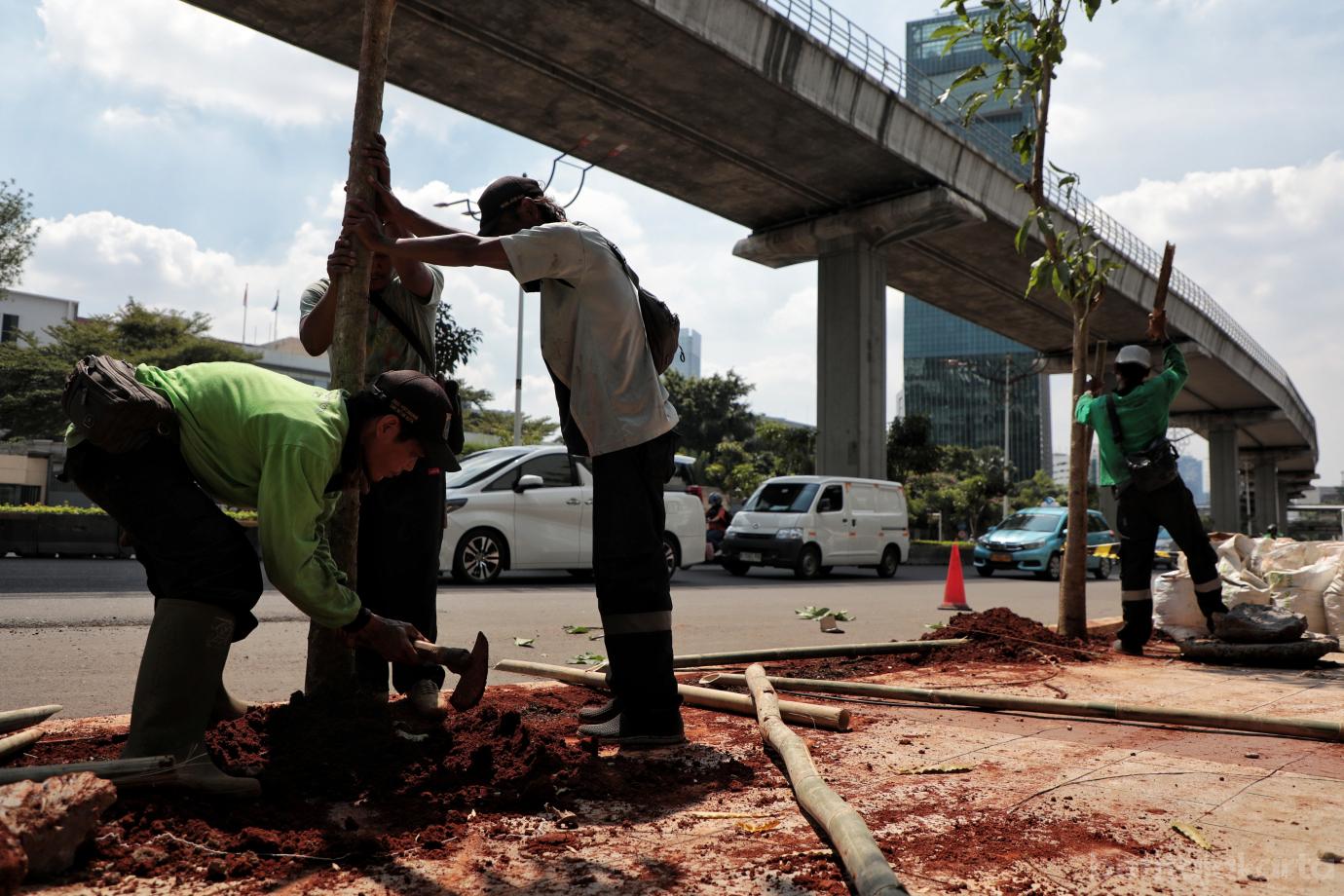 7.Distamhut DKI Percantik Pedestrian Sisi Timur Jalan Rasuna Said