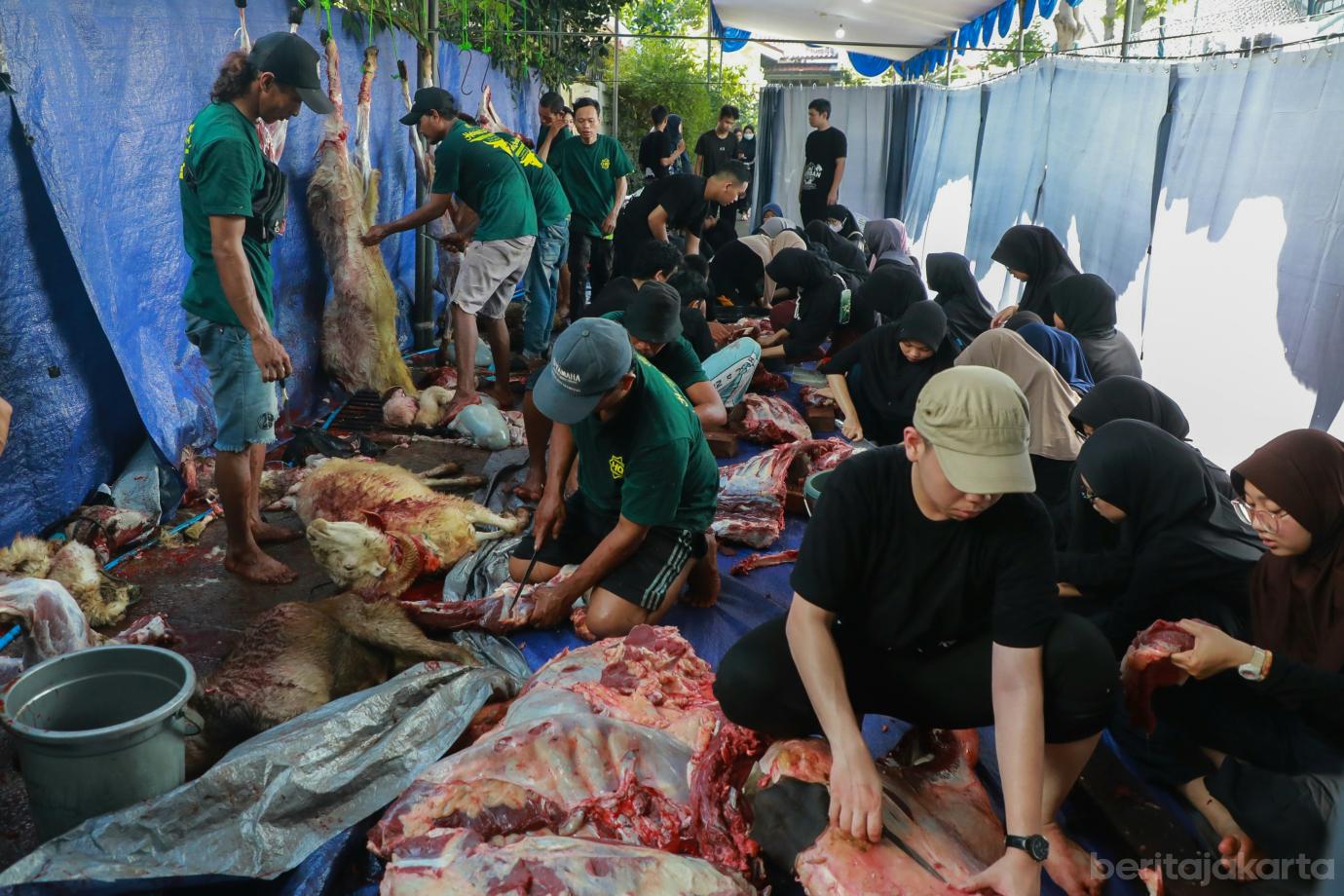 1 kurban wadah rotan