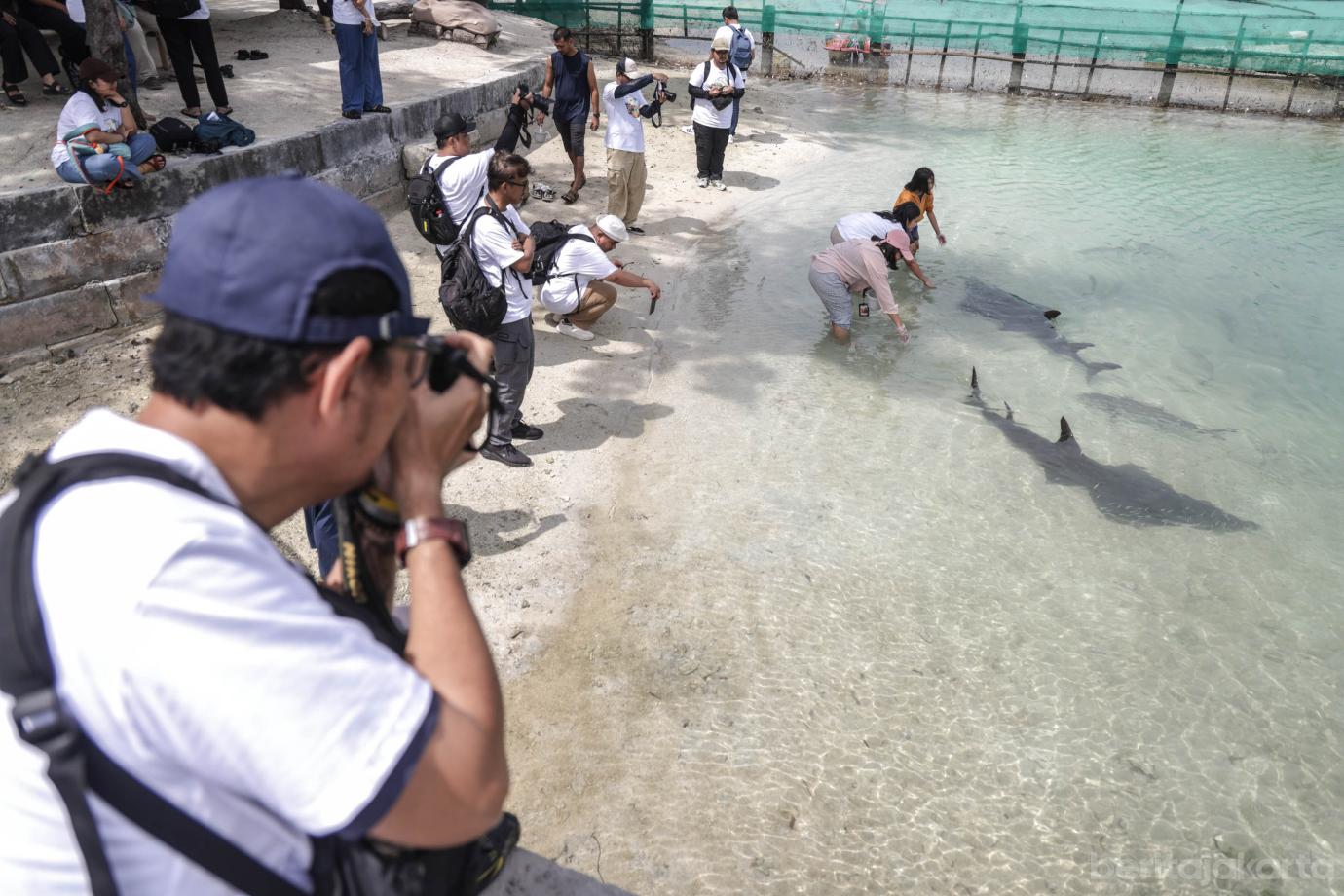 7 Keseruan CoJ Photo Hunt 2025 di Kepulau Seribu 7