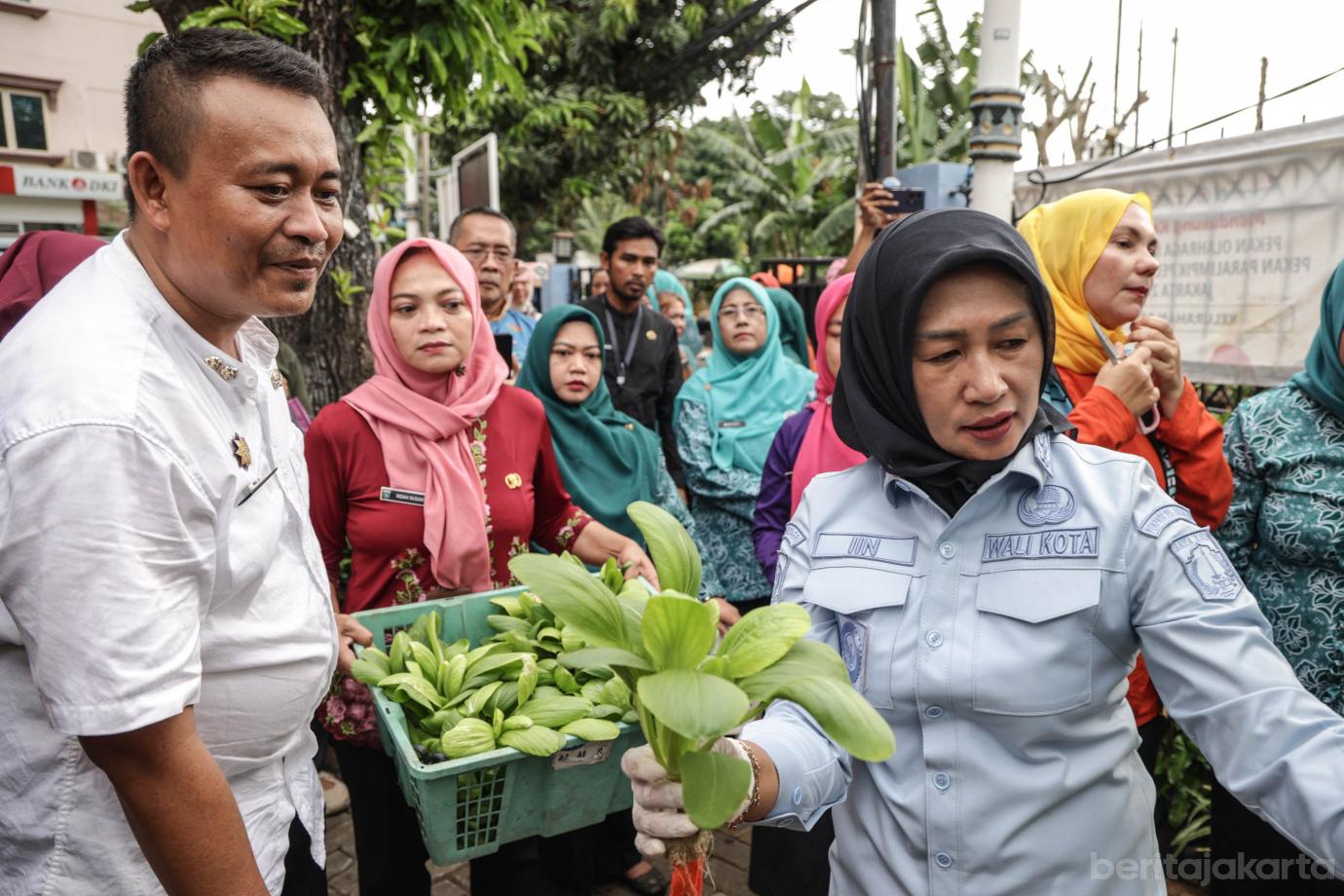 3 Iin Panen Sayuran dan Padi di Rooftop Kantor Lurah Tangki 3