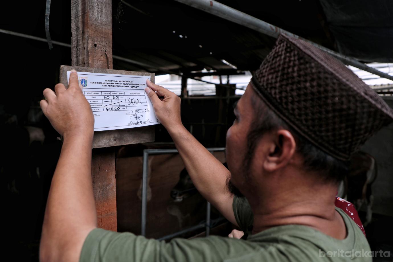 8.Pemeriksaan Hewan Kurban di Duren Sawit