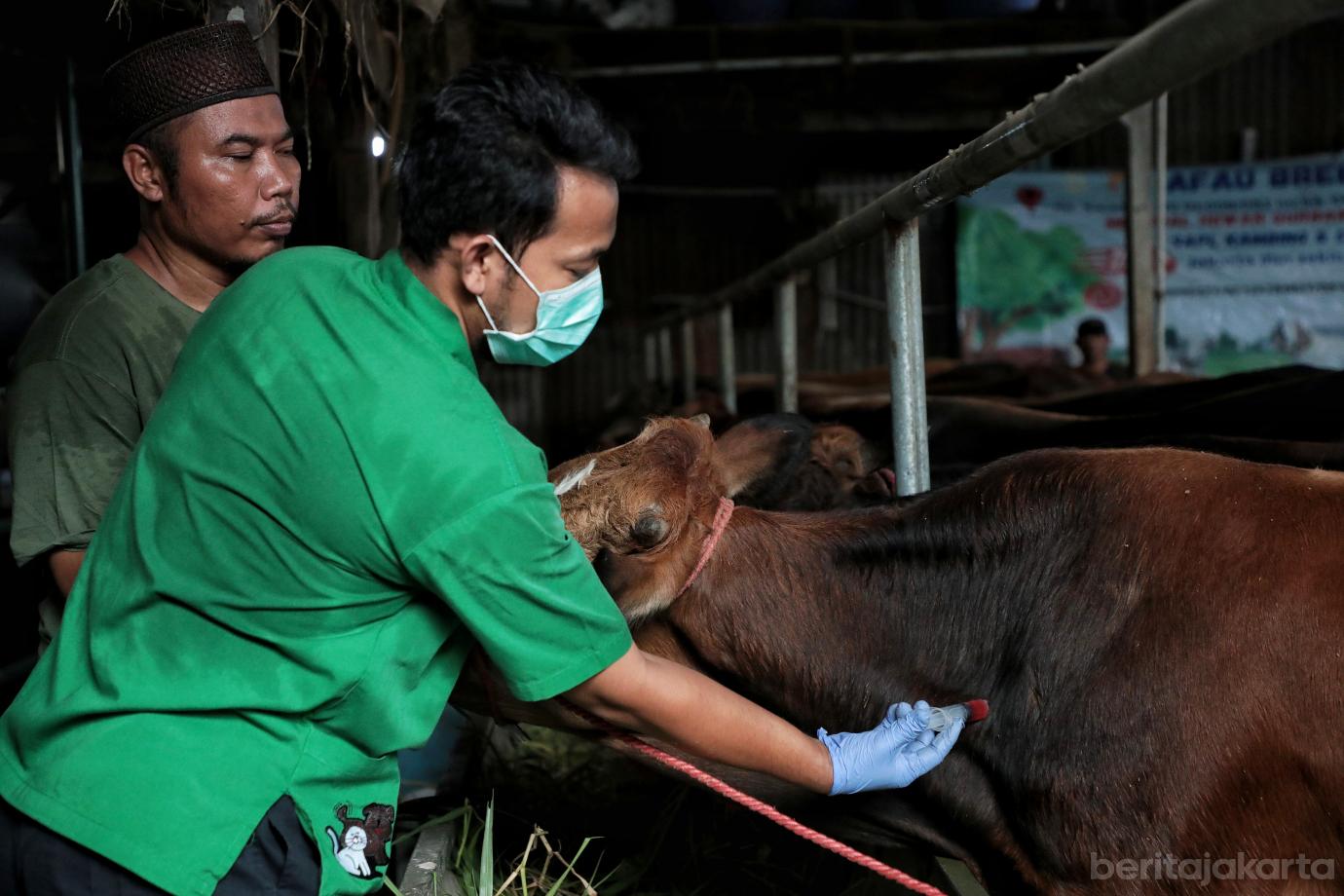 6.Pemeriksaan Hewan Kurban di Duren Sawit (1)
