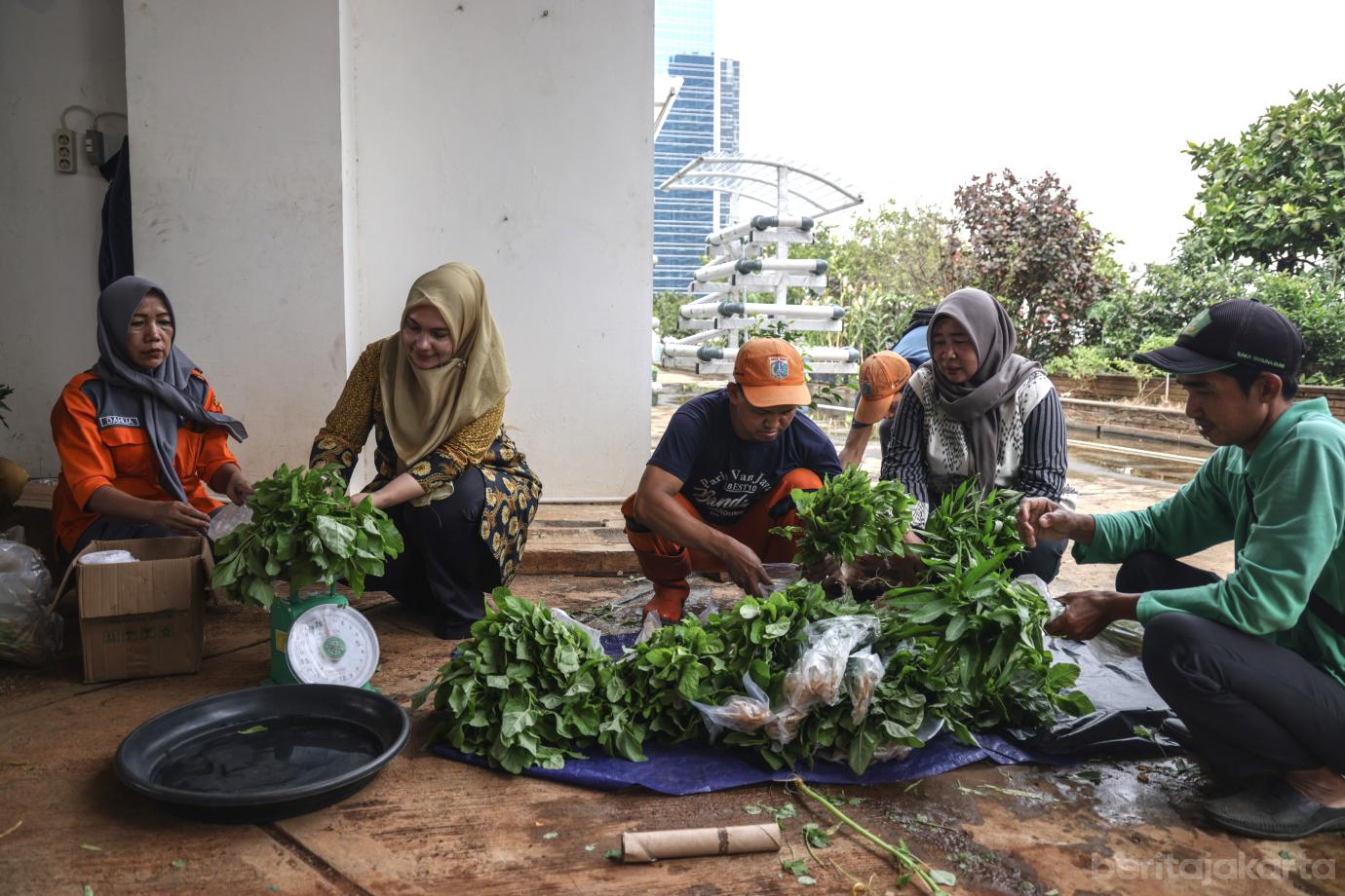 6 Urban Farming Rooftop Gedung Pakir Wali Kota Jakbar 6