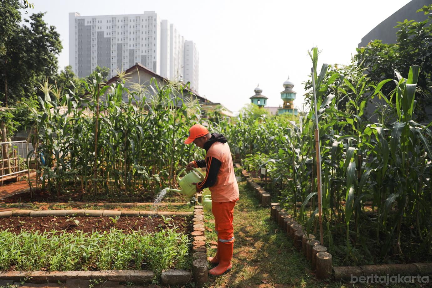 Urban Farming Lt Agung 5