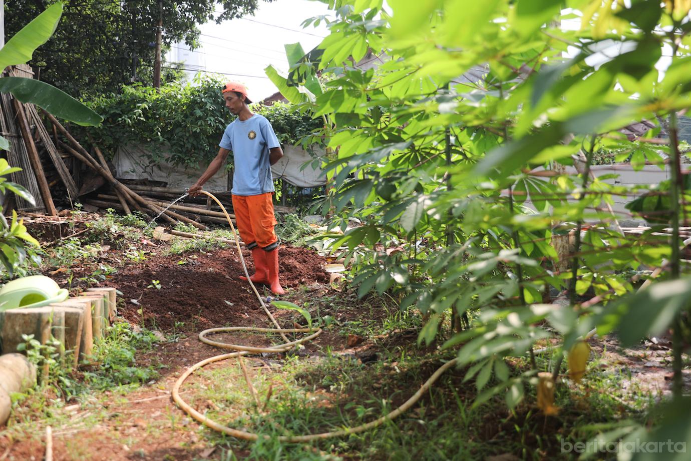 Urban Farming Lt Agung 1