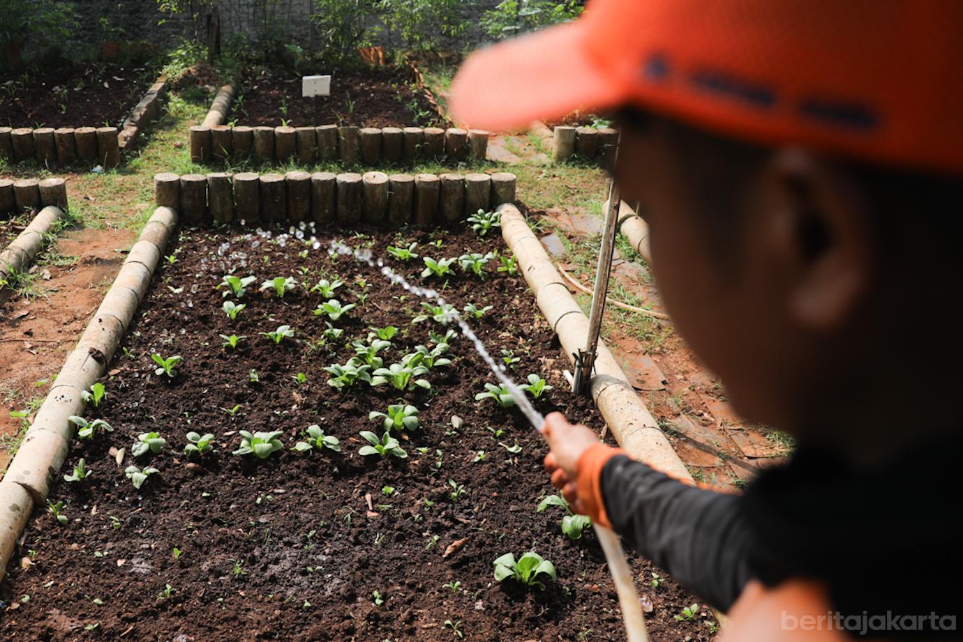 Urban Farming Lt Agung 3