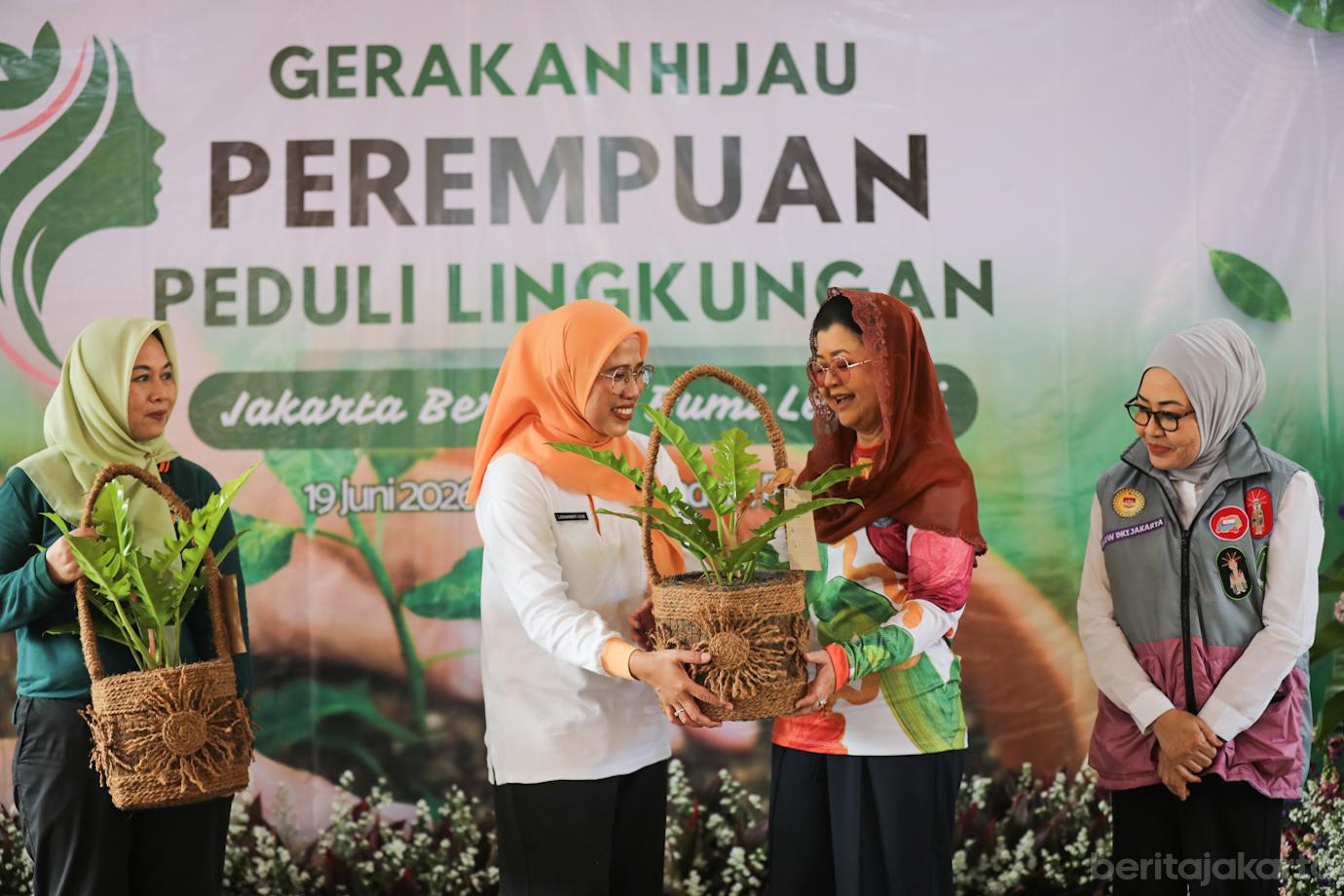 DWP Menanam 4