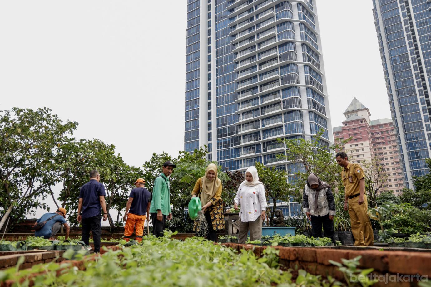 1 Urban Farming Rooftop Gedung Pakir Wali Kota Jakbar 1