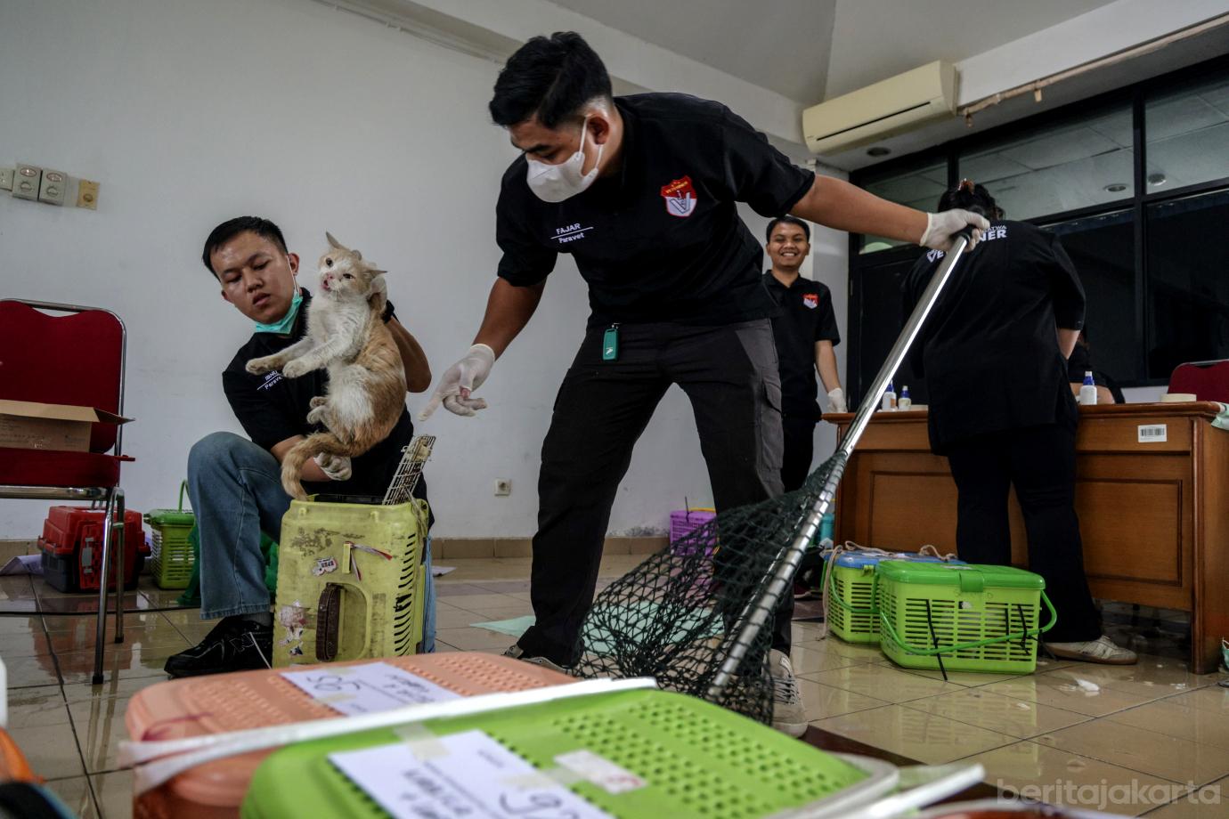 2 Sebanyak 200 Kucing Disterlisasi Sudin KPKP Jakbar 2