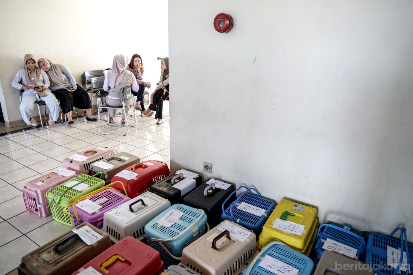8 Sebanyak 200 Kucing Disterlisasi Sudin KPKP Jakbar 8