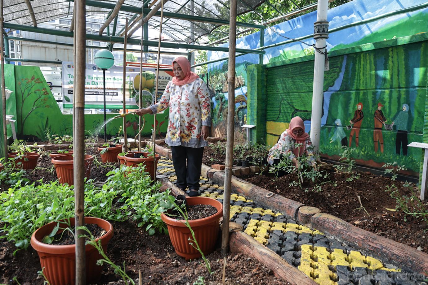 Halaman Kantor Lurah Krukut Dikembangkan jadi Lahan Urban Farming 1