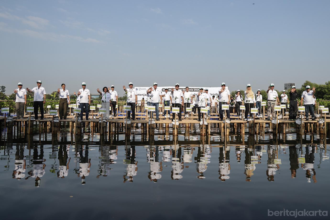 DKI Serentak Tanam 21.060 Bibit Mangrove di 5 Lokasi 6