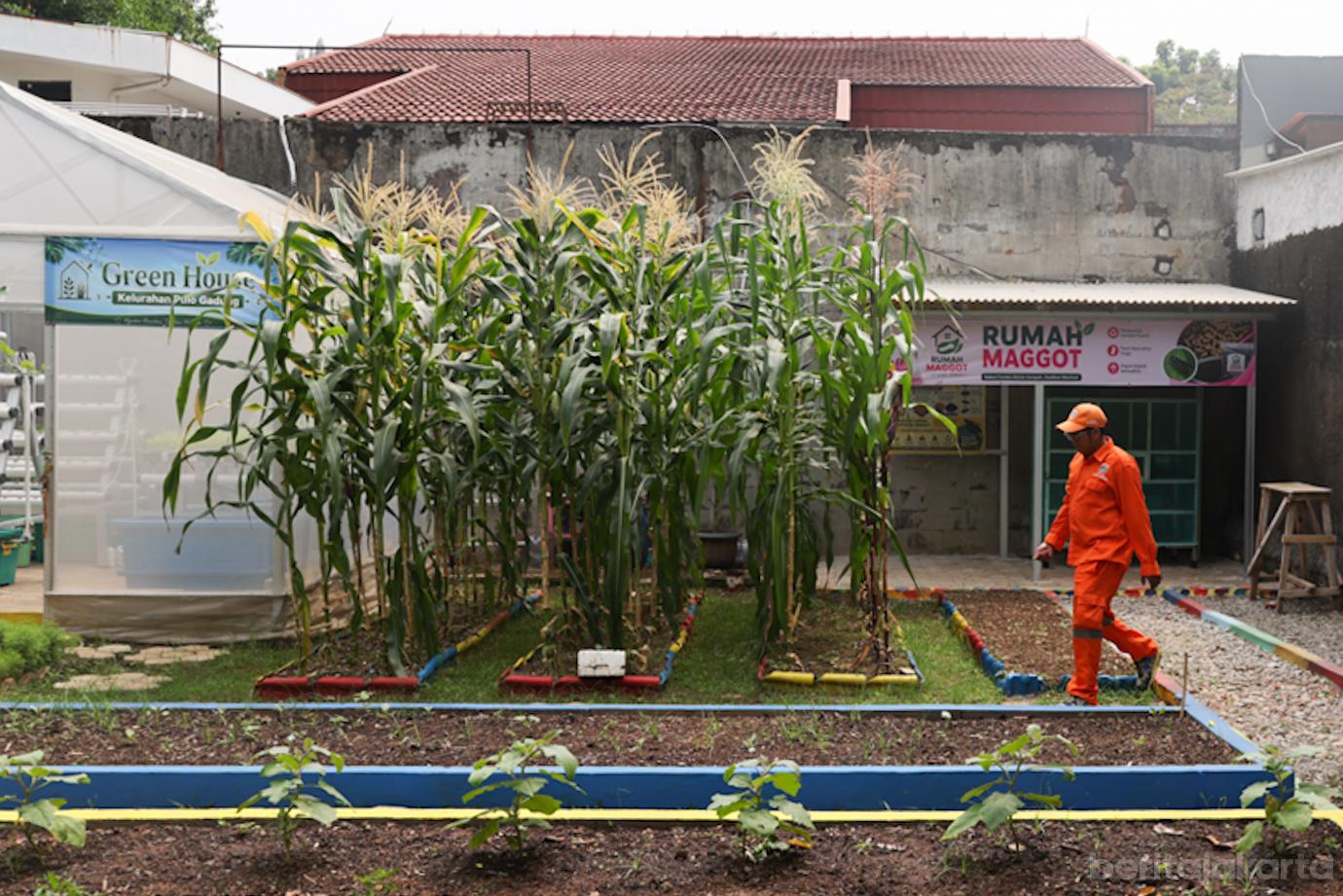 Taman Edukasi Lingkungan Kemilau 8