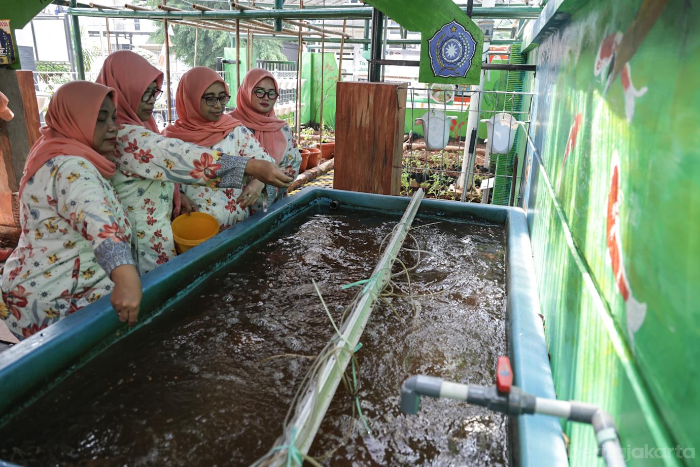 Halaman Kantor Lurah Krukut Dikembangkan jadi Lahan Urban Farming 5