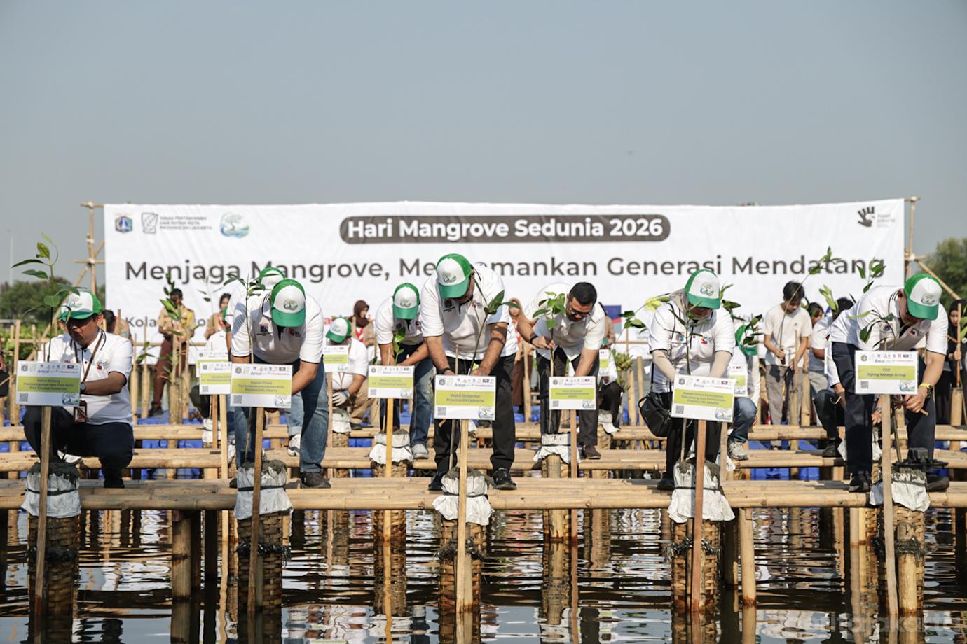 DKI Serentak Tanam 21.060 Bibit Mangrove di 5 Lokasi 5