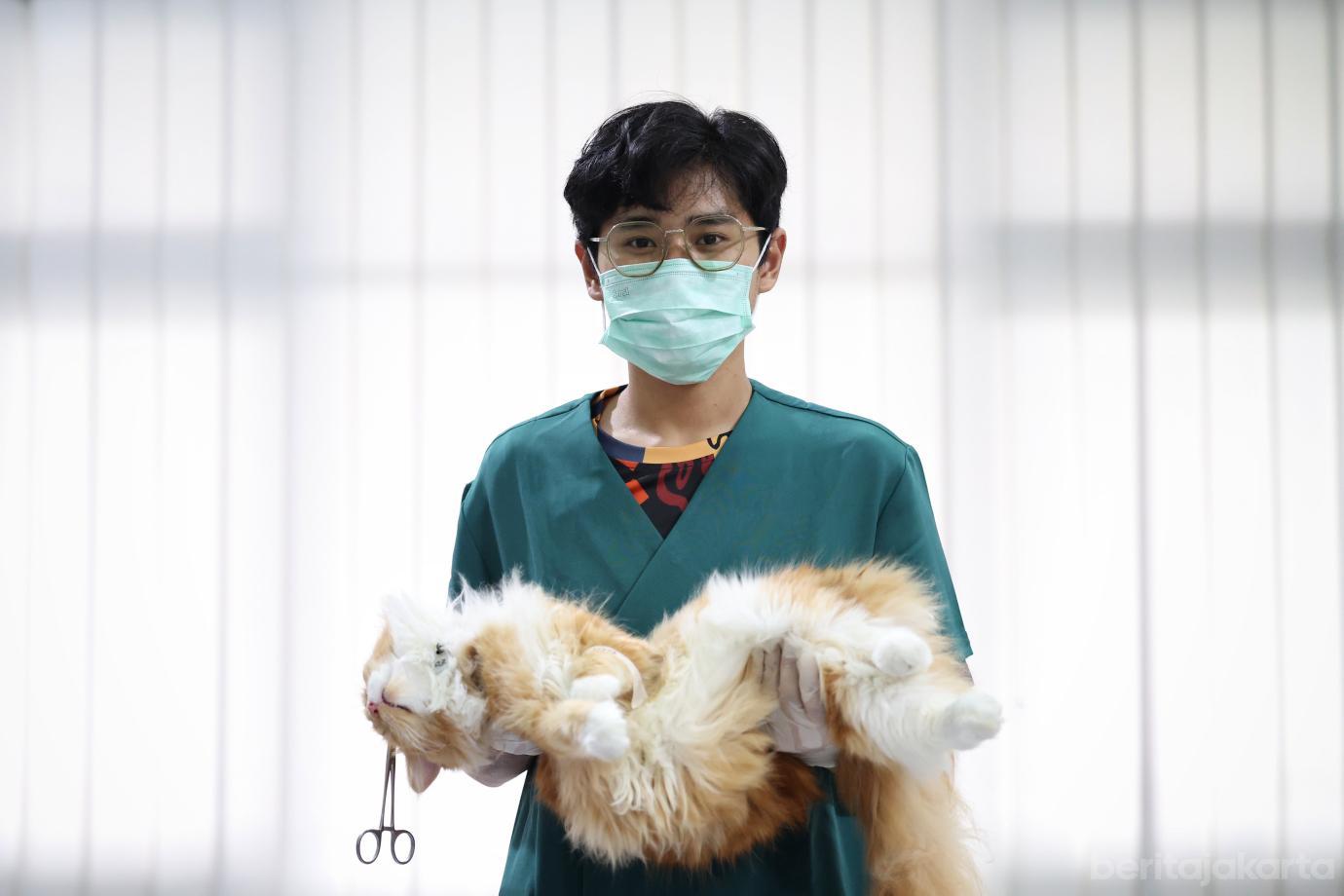 4.KPKP Jakbar Sterilisasi 200 Kucing Jantan di Tambora (1)