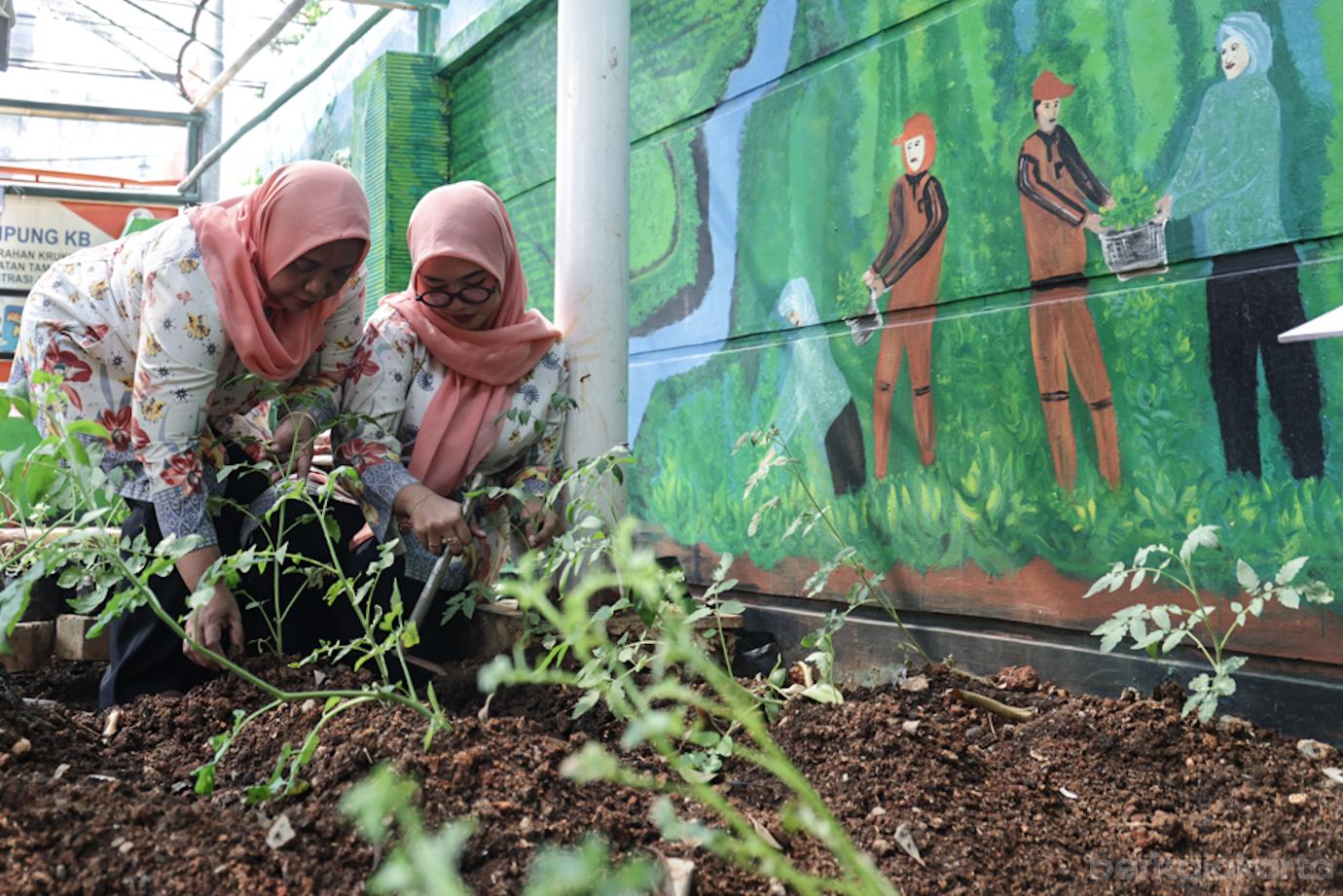 Halaman Kantor Lurah Krukut Dikembangkan jadi Lahan Urban Farming 2a
