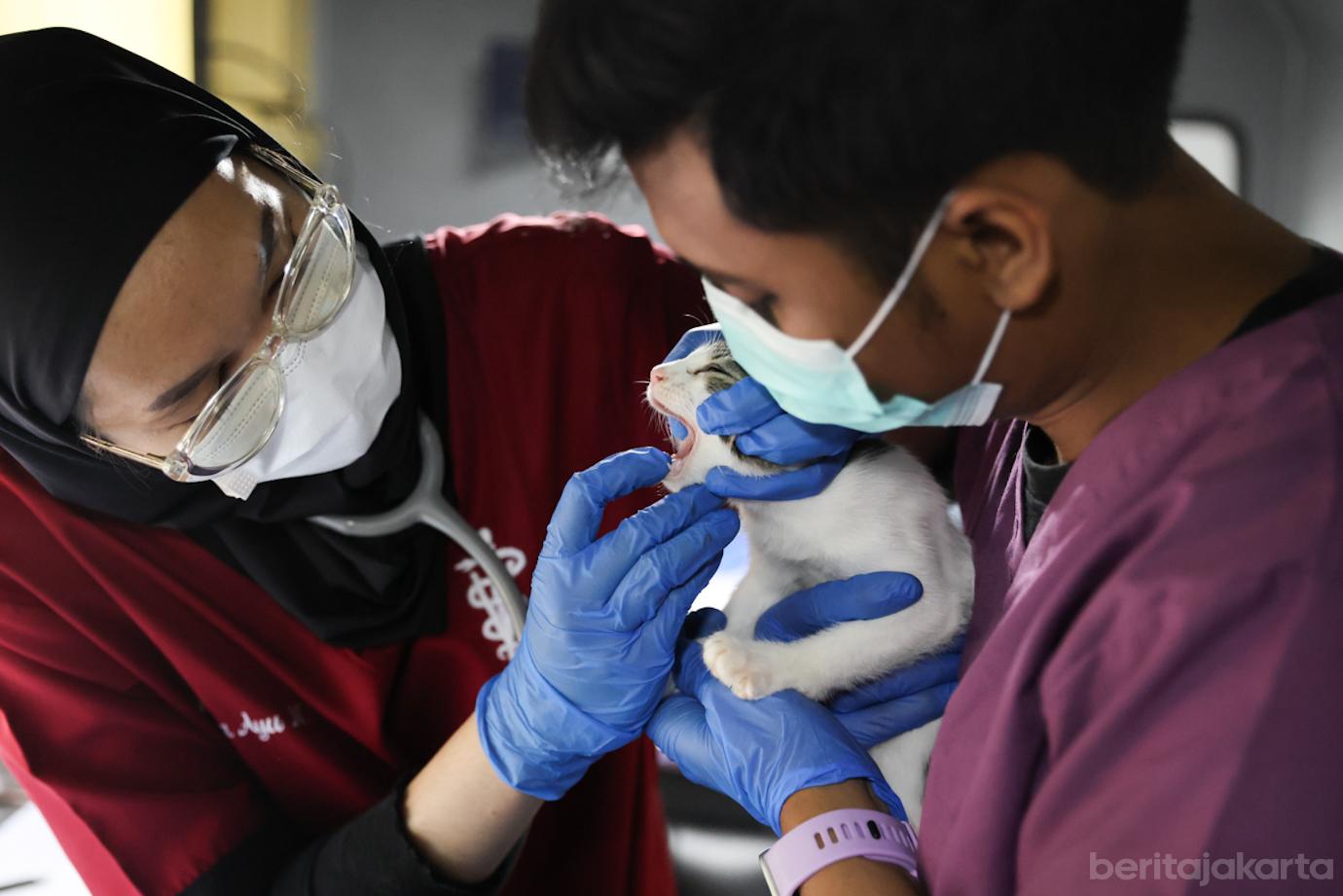 Klinik Hewan Jakarta 1