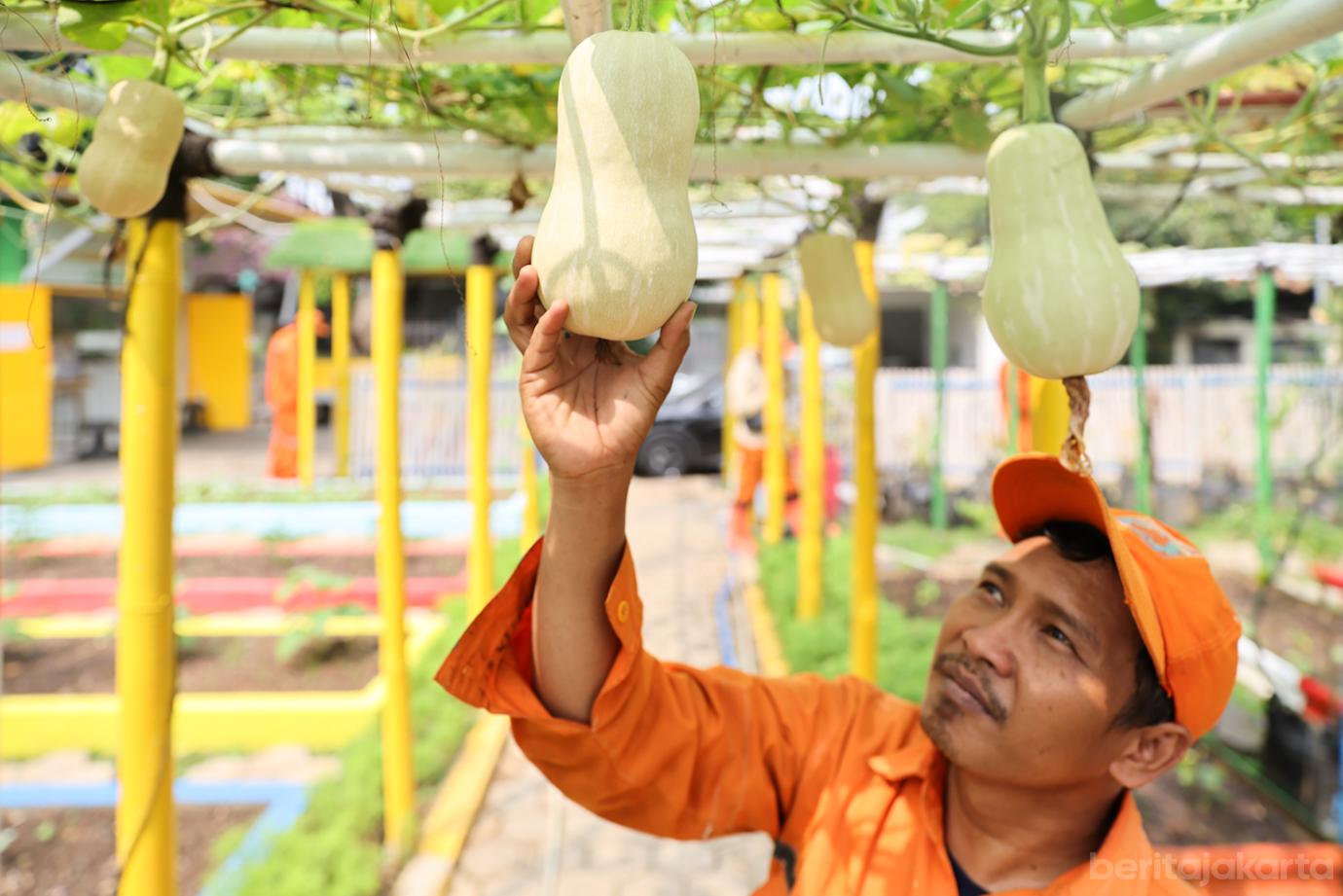 Taman Edukasi Lingkungan Kemilau 6