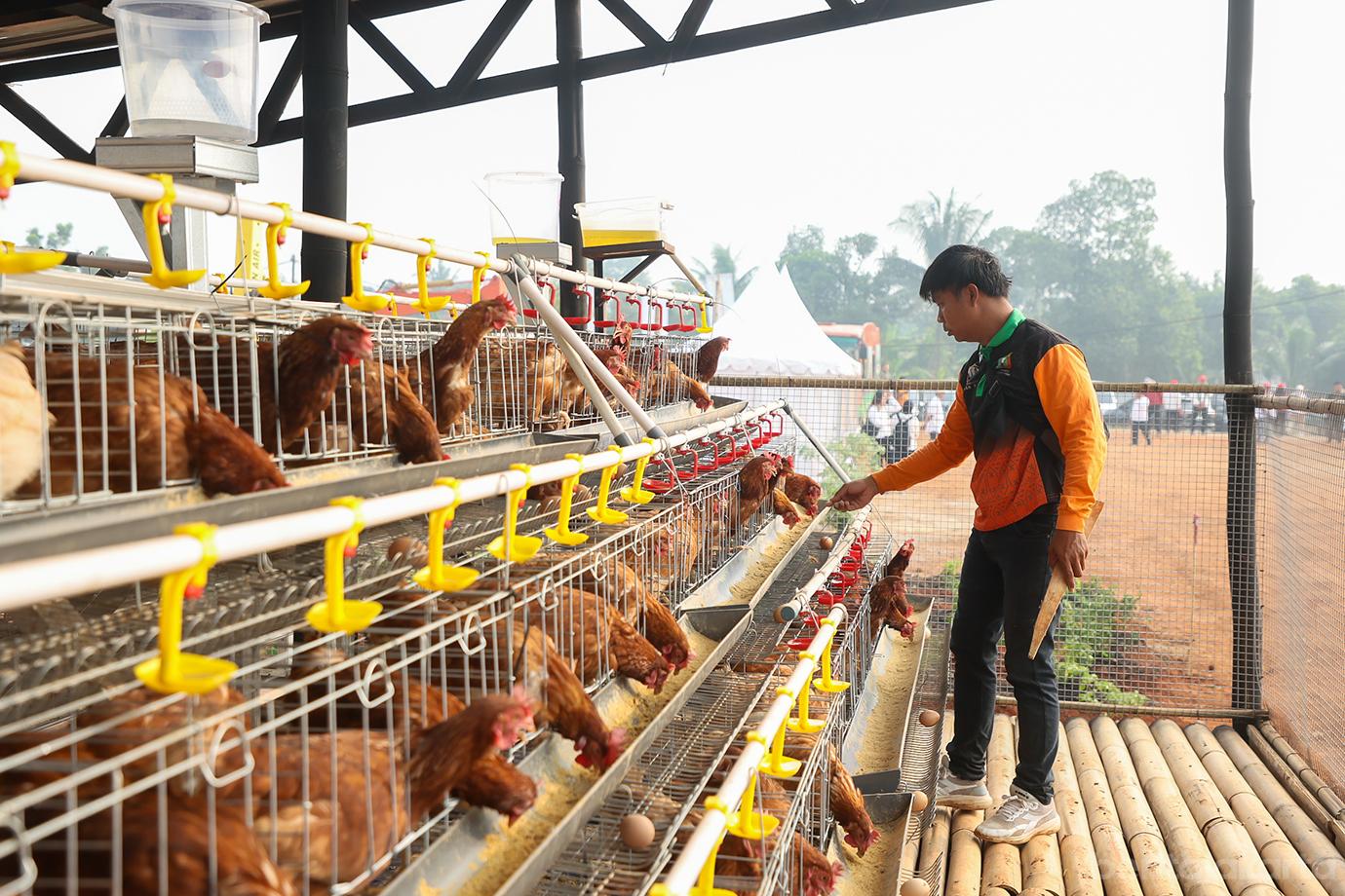 Gub pusat ketahanan pangan banten 03