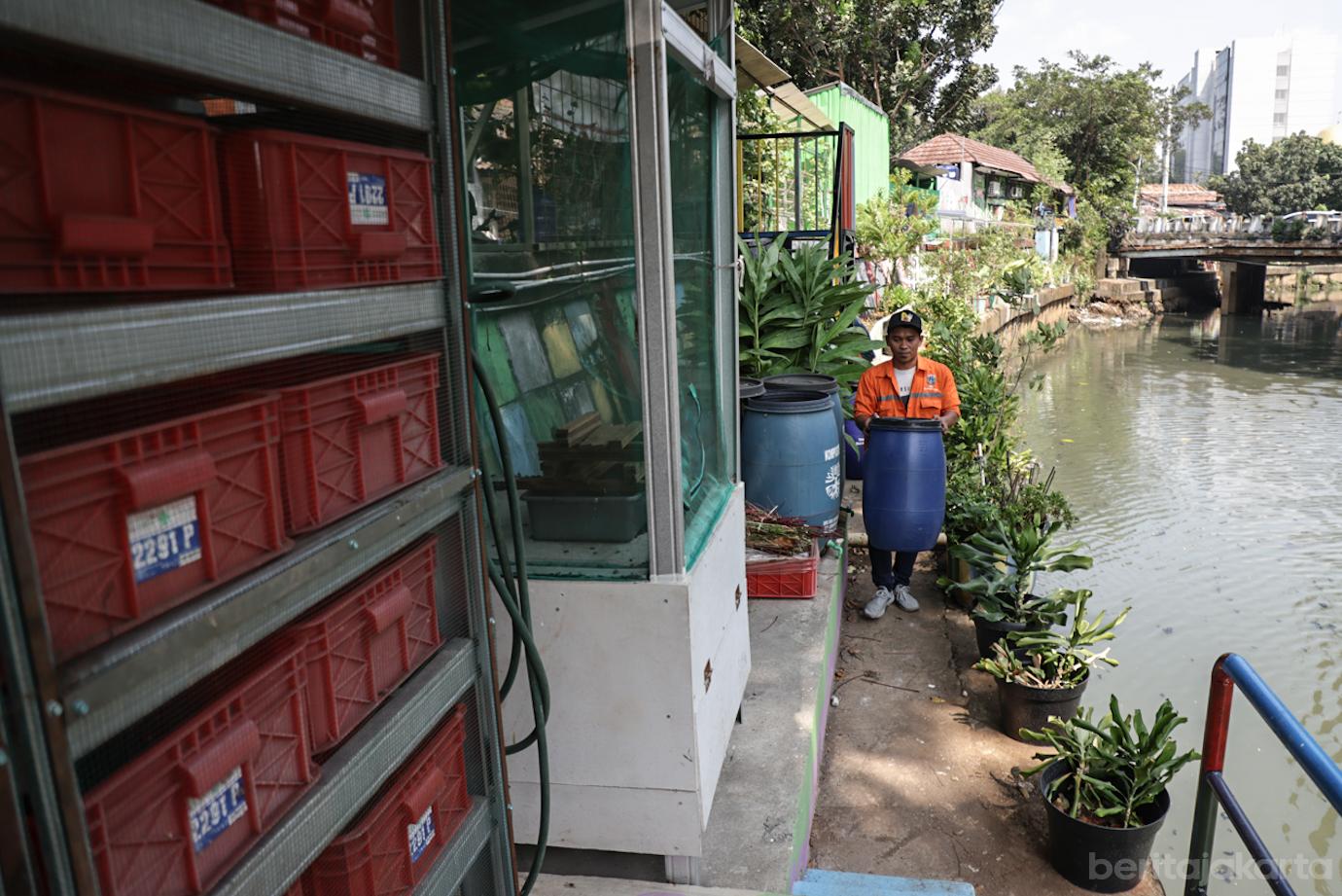 RW 01 Gambir Manfaat Bantaran Kali Ciliwung menjadi Lahan Pertanian 4