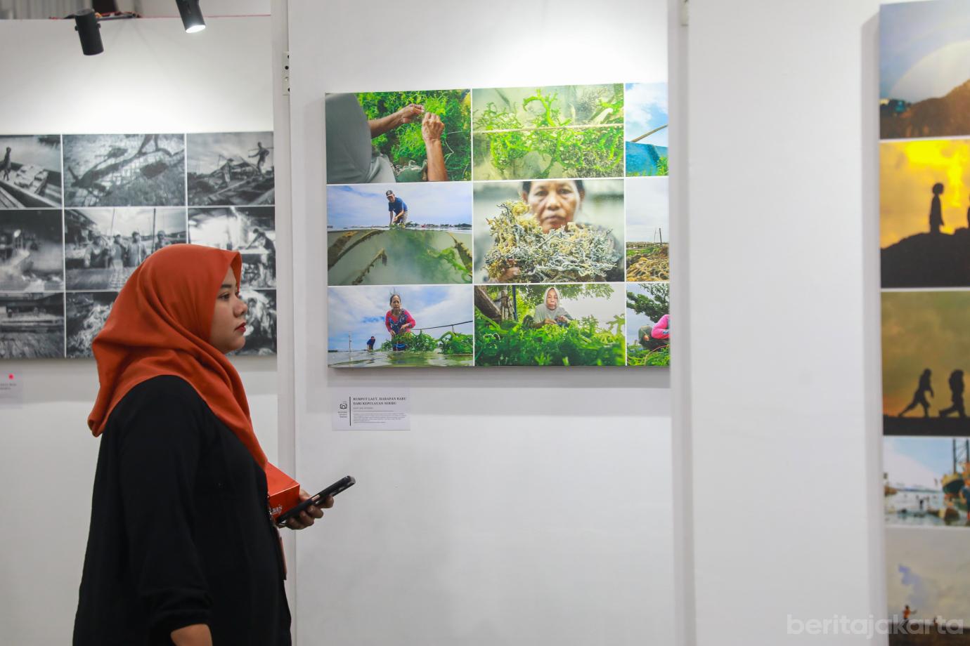 2 pameran coj