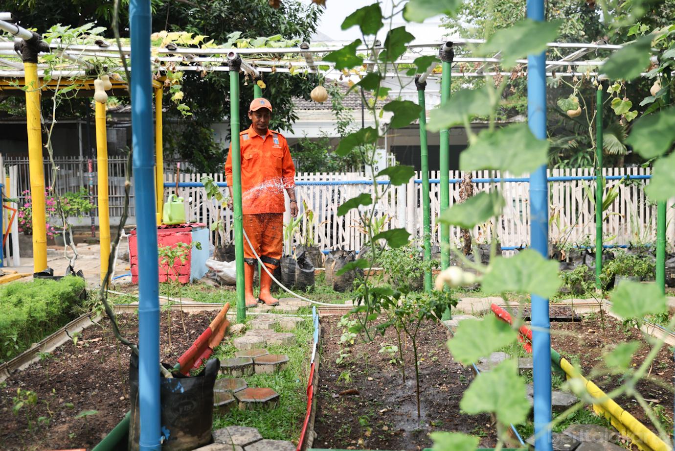 Taman Edukasi Lingkungan Kemilau 5