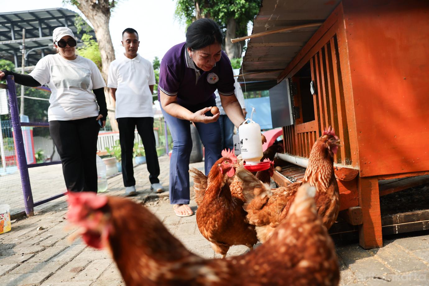 Rumah Edukasi Sampah 2