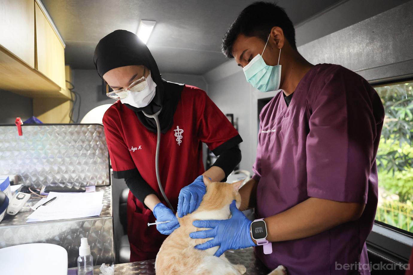 Klinik Hewan Jakarta 4