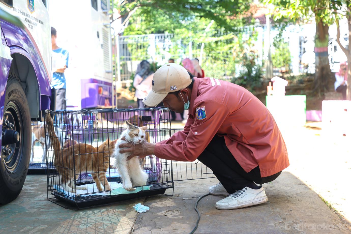 6 Mobil Klinik Hewan Keliling