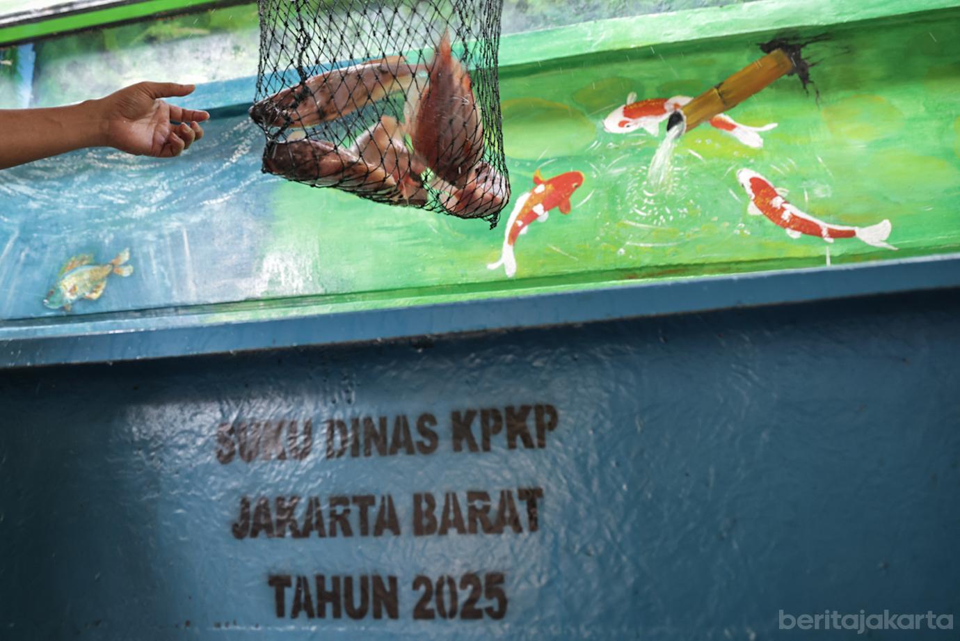 Halaman Kantor Lurah Krukut Dikembangkan jadi Lahan Urban Farming 6a