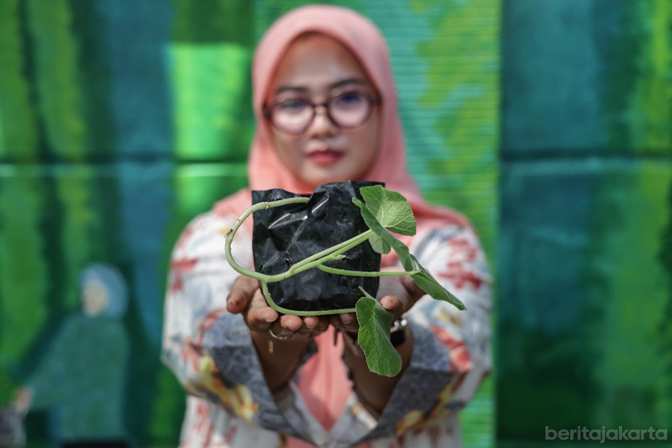 Halaman Kantor Lurah Krukut Dikembangkan jadi Lahan Urban Farming 3