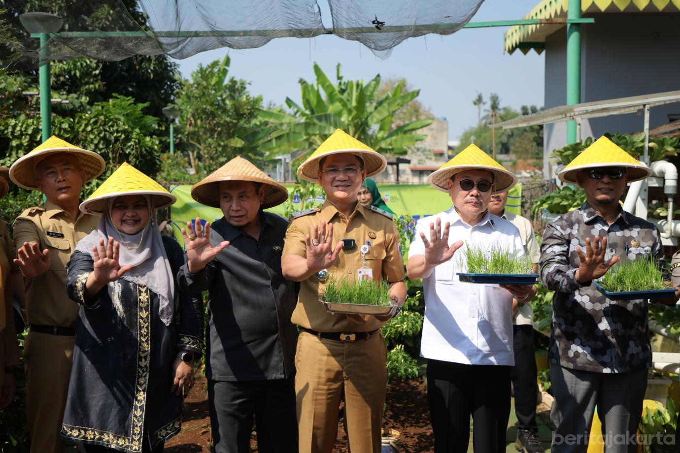 4.Tanam Padi Menggunakan 1.200 Galon Bekas