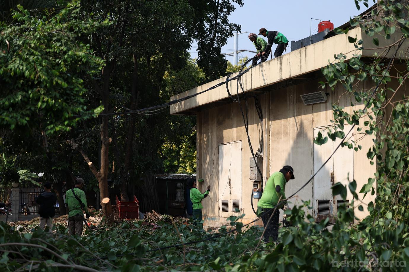 3.Sudin Tamhut Toping Pohon di UPT PPPA DKI