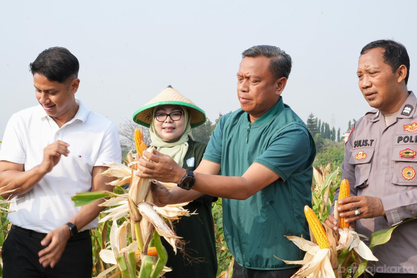 4.Pemkot Jaktim Panen Raya Padi dan Jagung di Ujung Menteng