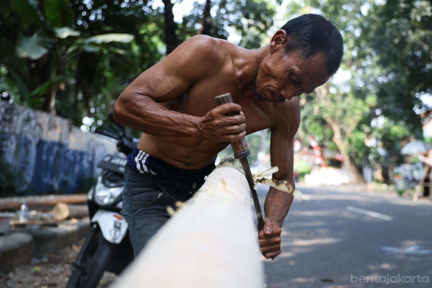 Penjualan Batang Pohon Pinang 7