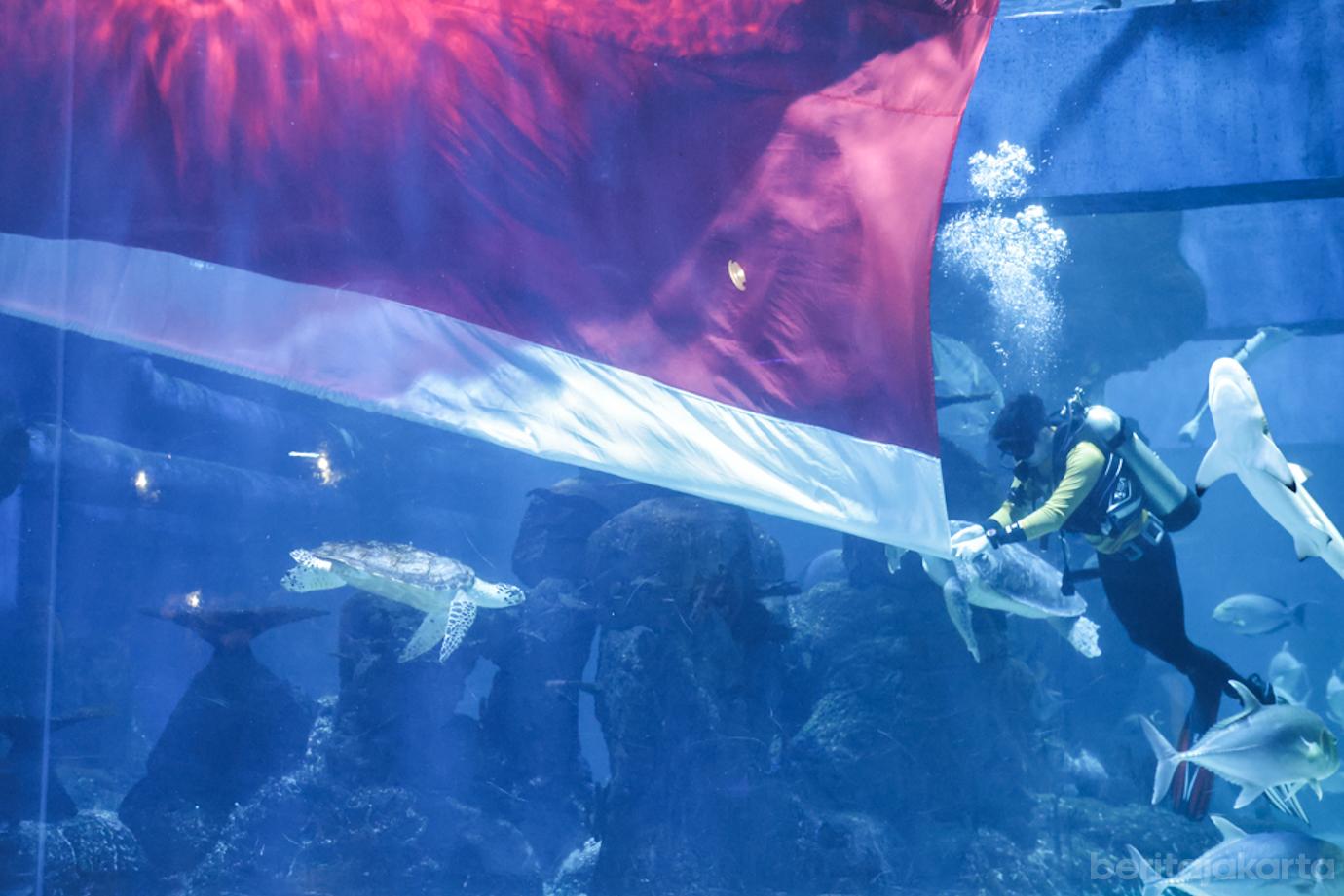 Pengibaran Bendera Merah Putih dan Atraksi Seni di Bawah Air 1