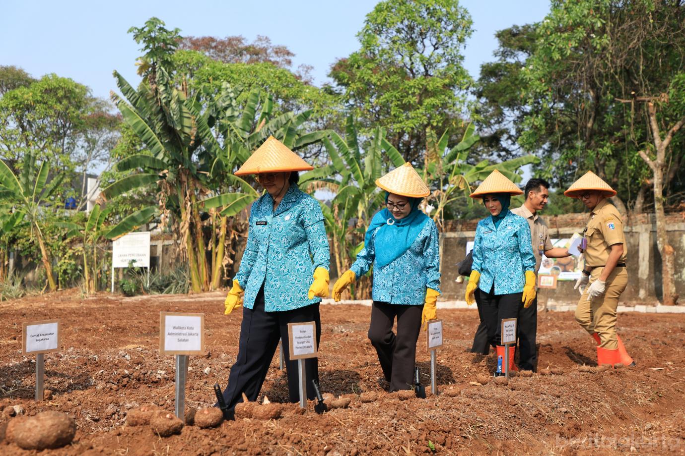 4.Pencanangan Gerakan Tanam Serempak Pendamping Beras