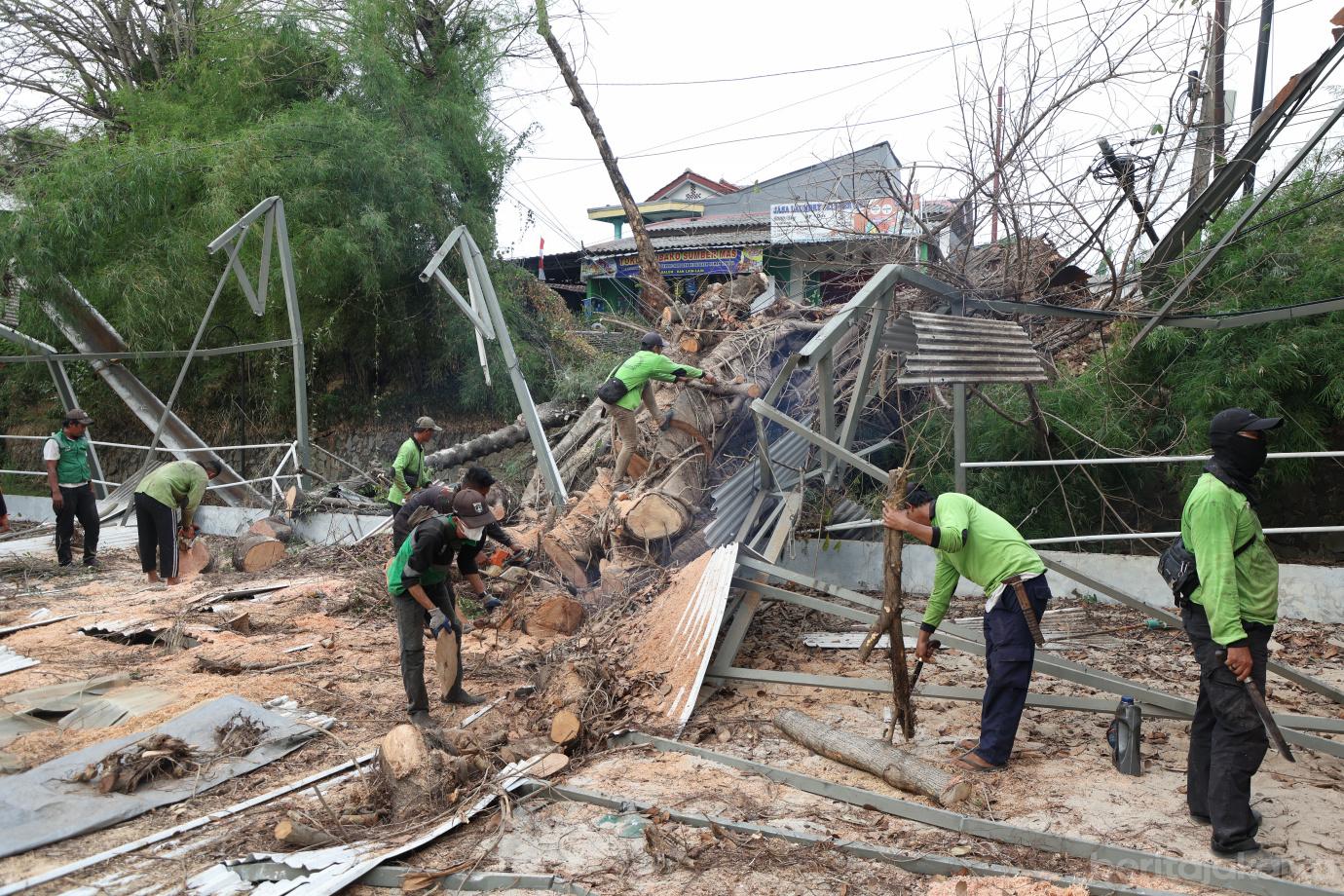 4.Petugas Gabungan Tangani Pohon Tumbang di Jalan Bambu Hitam  