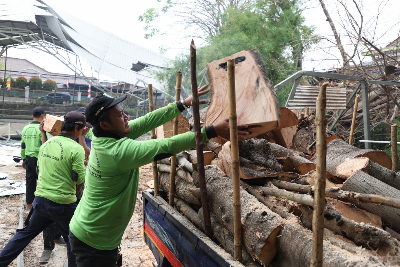 7.Petugas Gabungan Tangani Pohon Tumbang di Jalan Bambu Hitam  