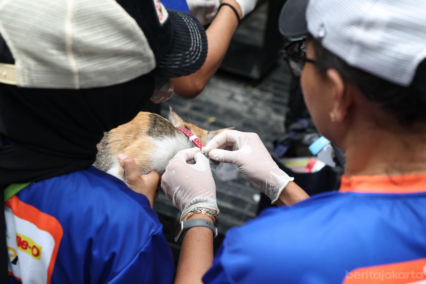 6.World Rabies Day 2026