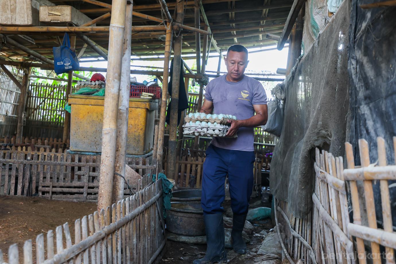 4 produksi telur asin